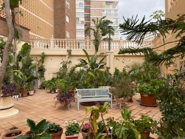 Precioso apartamento a estrenar en primera línea de playa Benidorm Exterior foto